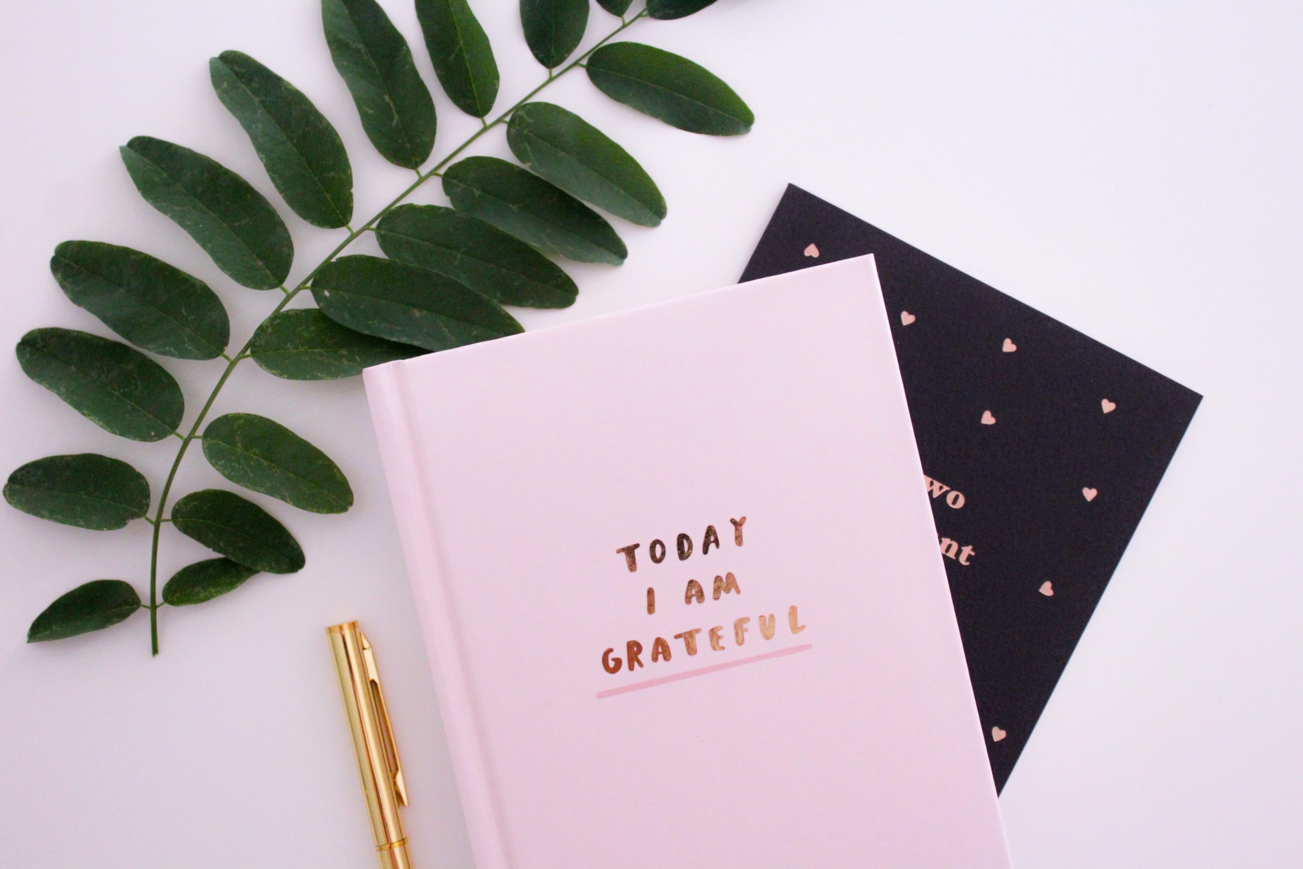 Le cahier de gratitude: l'outil idéal pour vivre plus heureux